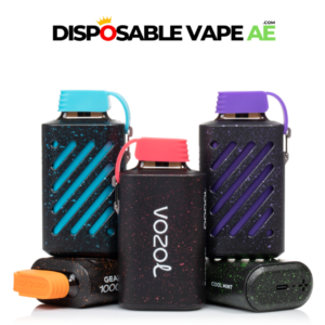 BEST VOZOL GEAR 10000 PUFFS DISPOSABLE