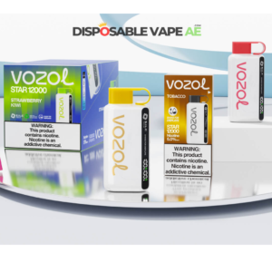 Best VOZOL STAR 12000 PUFFS DISPOSABLE