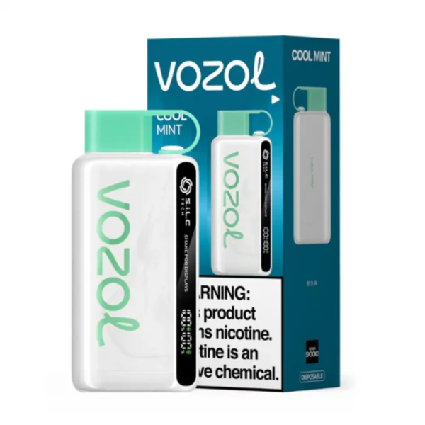 VOZOL STAR 12000 PUFFS DISPOSABLE - COOL MINT