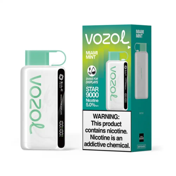 VOZOL STAR 12000 PUFFS DISPOSABLE - MAIMI MINT