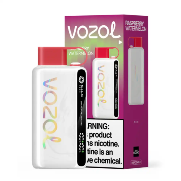 VOZOL STAR 12000 PUFFS DISPOSABLE - RASPBERRY WATERMELON