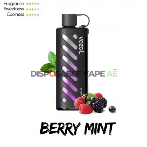 VOZOL GEAR SHISHA 25000 PUFFS - BERRY MINT