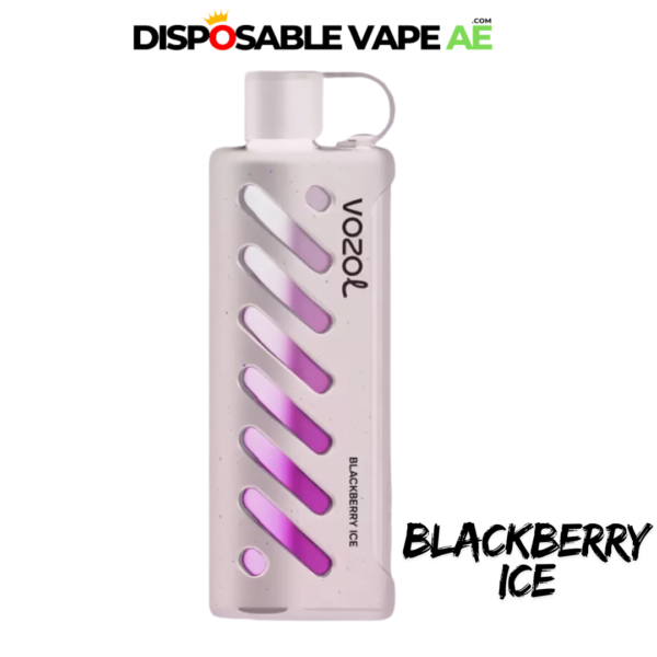 VOZOL GEAR SHISHA 25000 PUFFS - BLACKBERRY ICE