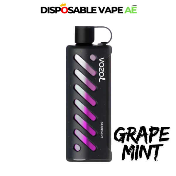 VOZOL GEAR SHISHA 25000 PUFFS - GRAPE MINT