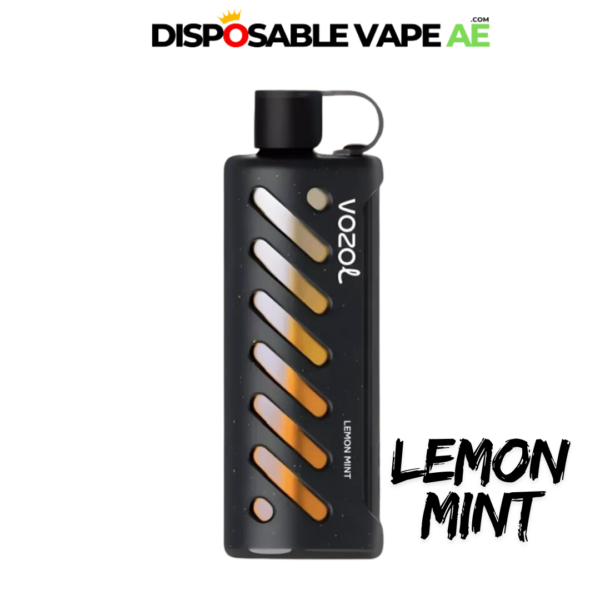 VOZOL GEAR SHISHA 25000 PUFFS - LEMON MINT