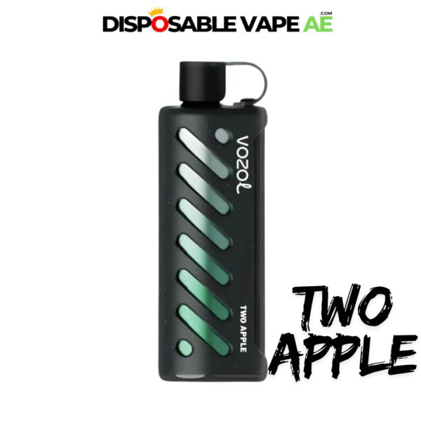 VOZOL GEAR SHISHA 25000 PUFFS - TWO APPLE